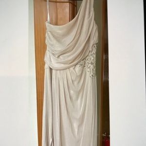 David’s bridal champagne tall one shoulder mesh dress